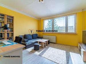 Pronájem bytu 2+1, Slavičín, Dlouhá, 50 m2