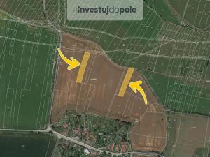 Prodej pole, Ostroměř - Domoslavice, 4437 m2