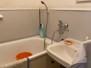 Prodej bytu 2+1, Praha - Žižkov, Pod lipami, 54 m2
