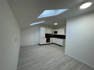 Pronájem bytu 3+kk, Čelákovice, Sedláčkova, 58 m2