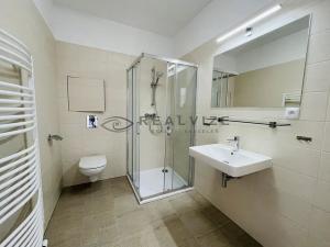 Pronájem bytu 2+kk, České Budějovice, Šumavská, 55 m2