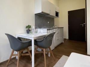 Pronájem bytu 1+kk, Sázava, Poznaňská, 17 m2