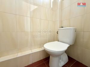 Pronájem bytu 3+kk, Žamberk, Čs. armády, 100 m2