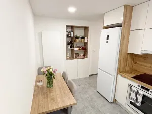 Prodej bytu 2+1, Teplice, Cajthamlova, 56 m2