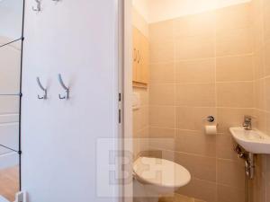 Pronájem bytu 3+kk, Liberec, Gagarinova, 79 m2