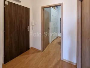 Pronájem bytu 2+kk, Brno, Cejl, 52 m2
