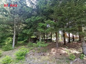 Prodej chaty, Borušov, 35 m2
