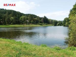 Prodej chaty, Borušov, 35 m2