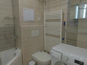 Pronájem bytu 1+kk, Brno, Srbská, 25 m2