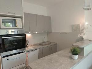 Pronájem bytu 1+kk, Brno, Srbská, 25 m2