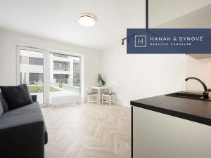 Pronájem bytu 1+kk, Brno, Cejl, 27 m2