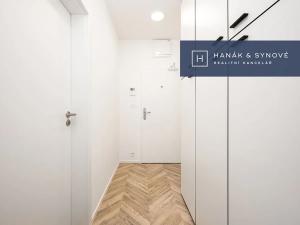 Pronájem bytu 1+kk, Brno, Cejl, 27 m2