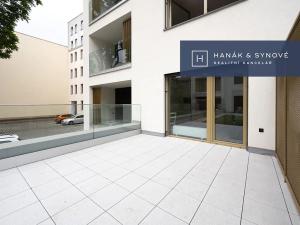 Pronájem bytu 1+kk, Brno, Cejl, 27 m2