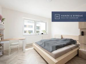 Pronájem bytu 1+kk, Brno, Cejl, 27 m2