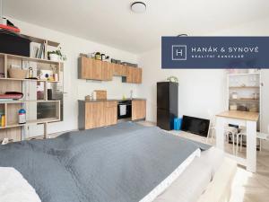 Pronájem bytu 1+kk, Brno, Cejl, 27 m2
