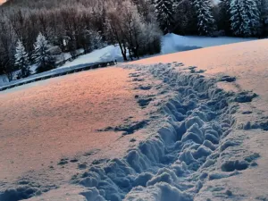 Prodej chalupy, Velké Karlovice, 80 m2