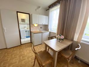 Pronájem bytu 1+kk, Kuřim, Wolkerova, 21 m2