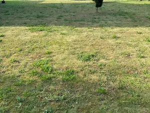 Prodej pozemku pro bydlení, Kunice, 520 m2