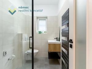 Prodej bytu 1+kk, Šestajovice, Revoluční, 18 m2