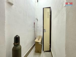 Pronájem výrobních prostor, Teplice, Duchcovská, 75 m2