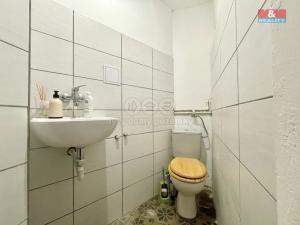 Pronájem výrobních prostor, Teplice, Duchcovská, 75 m2