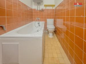 Prodej bytu 1+kk, Liblice, 25 m2