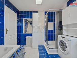 Prodej rodinného domu, Nechanice - Lubno, 238 m2