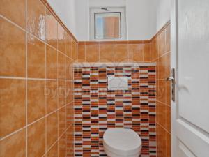 Prodej rodinného domu, Nechanice - Lubno, 238 m2