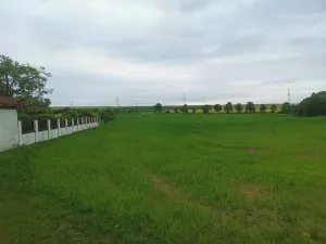 Dražba pole, Černošice, 1053 m2