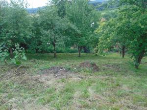 Prodej rodinného domu, Valašské Klobouky, 250 m2