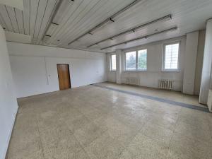 Pronájem skladu, Praha - Hlubočepy, Štěpařská, 54 m2