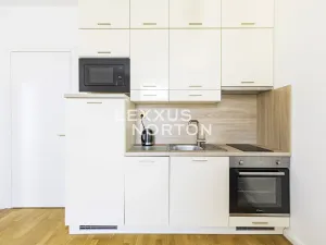 Pronájem bytu 1+kk, Praha - Vinohrady, Rubešova, 20 m2