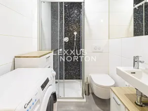 Pronájem bytu 1+kk, Praha - Vinohrady, Rubešova, 20 m2