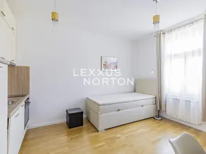 Pronájem bytu 1+kk, Praha - Vinohrady, Rubešova, 20 m2