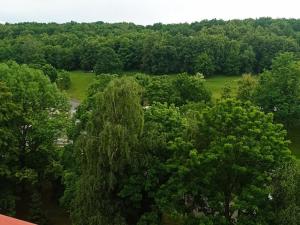 Prodej bytu 3+1, Most, Moskevská, 54 m2