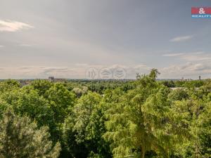 Prodej bytu 4+1, Ostrava - Zábřeh, Bedrnova, 78 m2