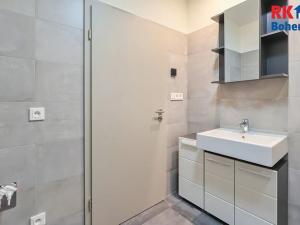 Pronájem bytu 2+kk, Přistoupim, 41 m2