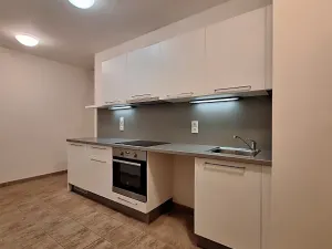 Pronájem bytu 2+1, Praha - Bubeneč, U zeměpisného ústavu, 47 m2