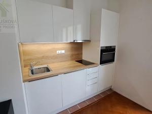 Pronájem bytu 1+kk, Ostrava, Podroužkova, 22 m2