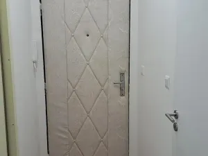 Pronájem bytu 1+kk, Ostrava, Podroužkova, 22 m2