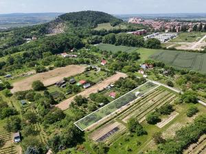 Prodej zahrady, Mikulov, 927 m2