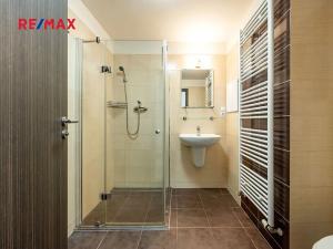 Pronájem bytu 1+kk, Plzeň, Štefánikova, 30 m2