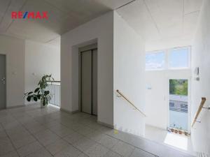 Pronájem bytu 1+kk, Plzeň, Štefánikova, 30 m2