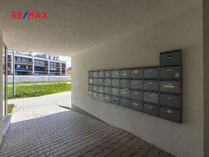 Pronájem bytu 1+kk, Plzeň, Štefánikova, 30 m2