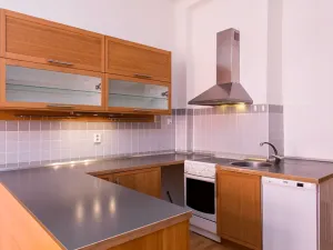 Pronájem bytu 2+1, Praha - Holešovice, V háji, 86 m2