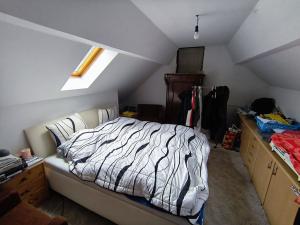 Prodej rodinného domu, Žďárec, 256 m2