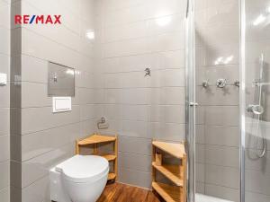 Pronájem bytu 2+kk, Praha - Dejvice, Velvarská, 53 m2