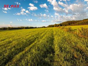 Prodej zemědělské usedlosti, Jablonné v Podještědí, 1000 m2
