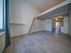 Pronájem bytu 1+1, Praha - Žižkov, Prokopova, 40 m2