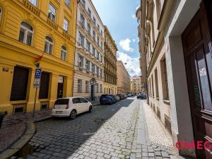 Pronájem bytu 2+1, Praha - Nové Město, Opatovická, 80 m2